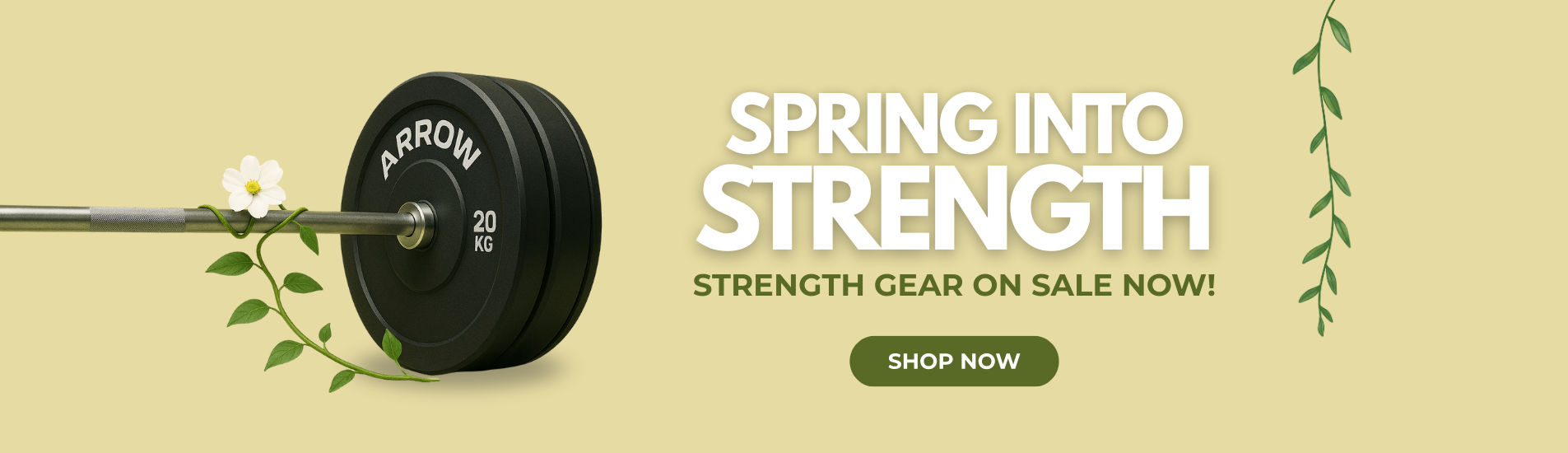 Spring Into Strength Sale