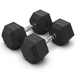 22.5KG Rubber Hex Dumbbell Pair