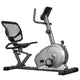 Lifespan Fitness RC-81 Recumbent