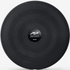 PTP Stability Disc