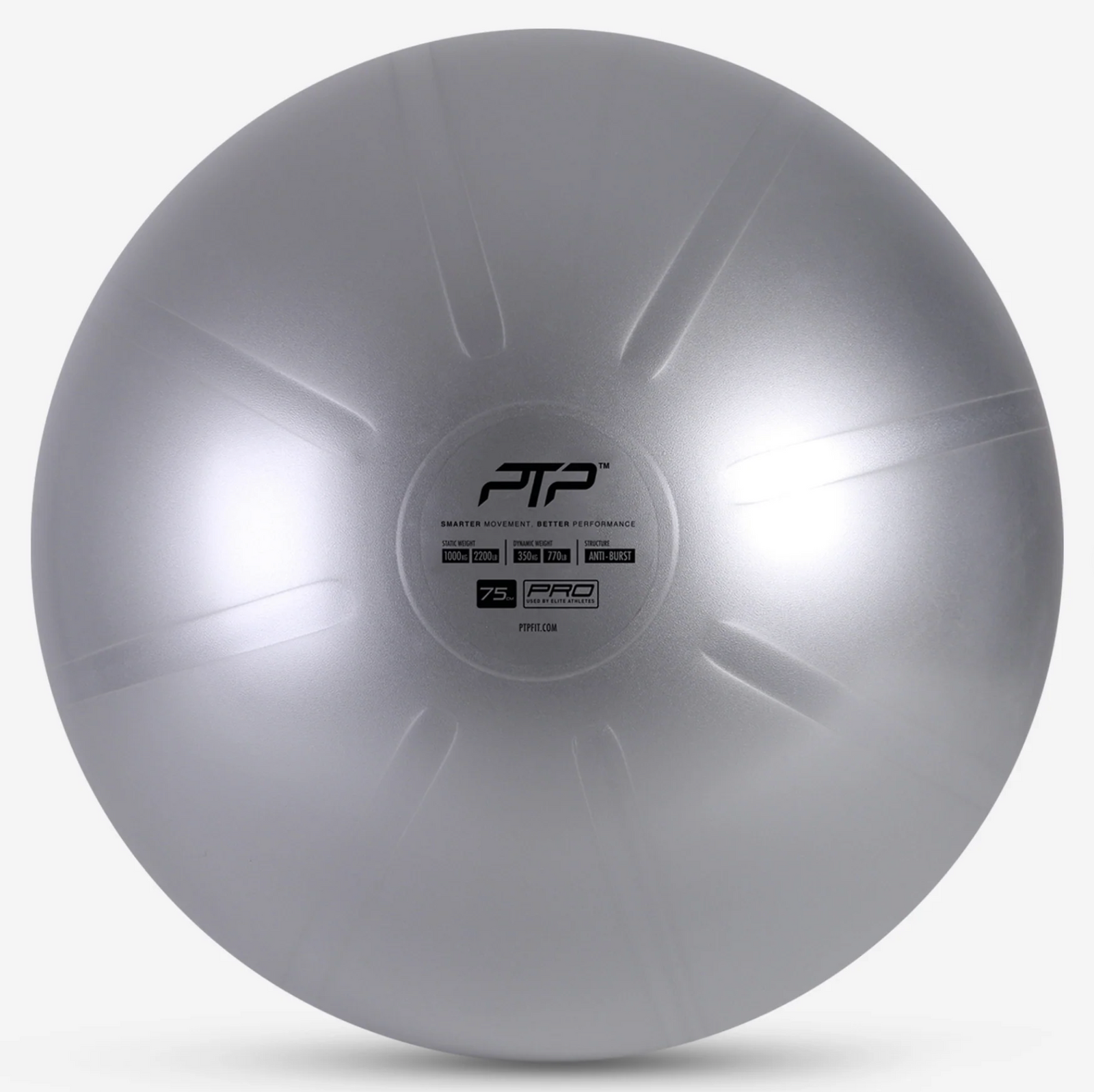 PTP Careball 75cm W/Pump - Steel Grey