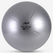 PTP Careball 75cm W/Pump - Steel Grey