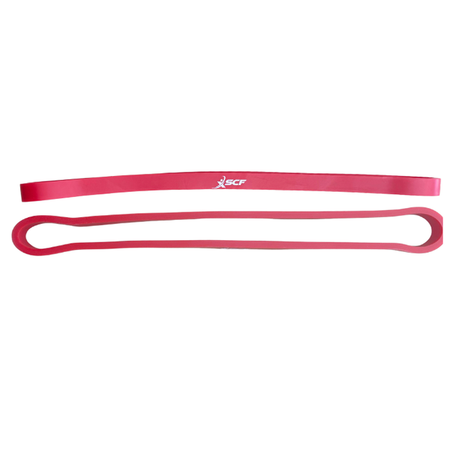 Loop Resistance Bands